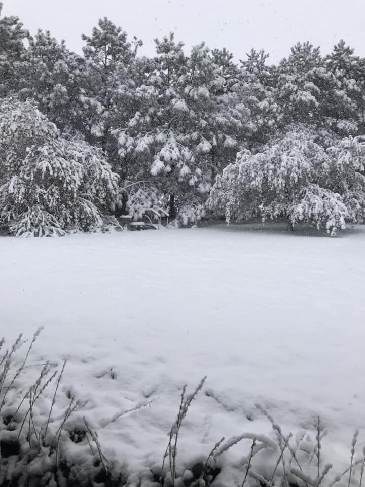 Snow, 10/14